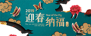 眼睛激光手術費用解析：如何選擇合適的手術方案？